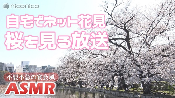 外出自粛でネット花見 快晴時の上野恩賜公園の桜を見る放送 宴会風asmr 03 27 金 17 00開始 ニコニコ生放送