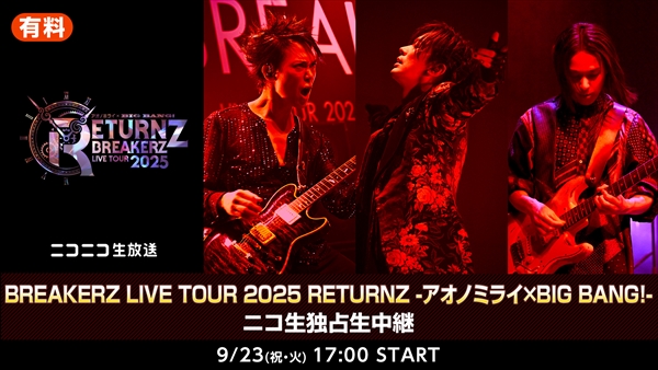 【タイムセール12時まで】ほぼ未使用 lain　Lain レーザーディスク 2025年最新】Yahoo!オークション -レーザーディスク用の中古品