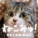 猫カフェより5時間ネコネコ生放送 at「猫の居る休憩所299」8月29日（金）