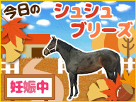 【母馬】今日のシュシュブリーズ