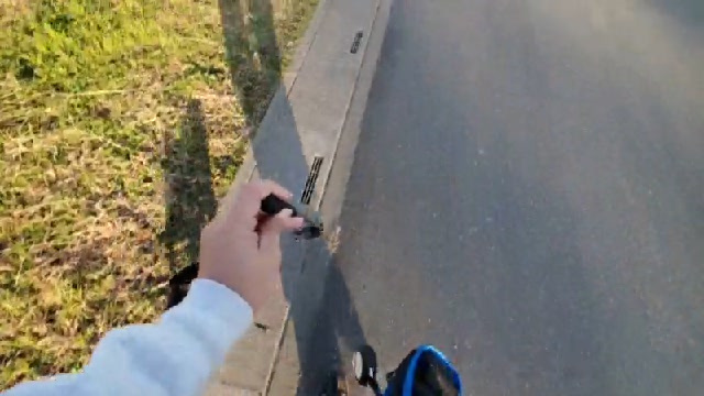 わんこと散歩　【近所を散歩】
