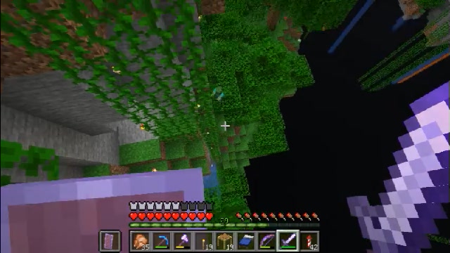 ジャングルの浮島 Minecraft 01 11 土 19 59開始 ニコニコ生放送