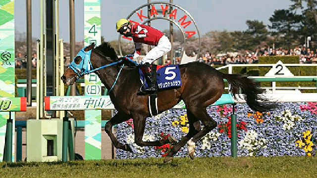 【競馬実況】中山グランドジャンプ(J.G1) - 2020/04/18(土) 15:24開始 ...