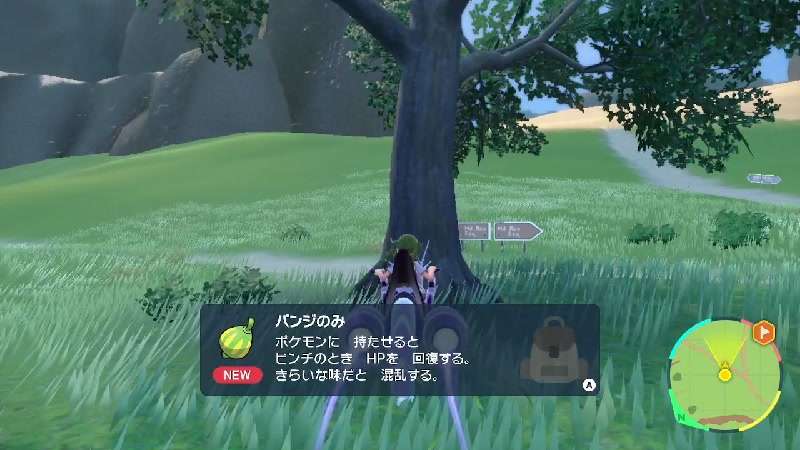 ヒマナッツを愛でれないかもしれないポケモンsv 5 22 11 18 金 19 48開始 ニコニコ生放送