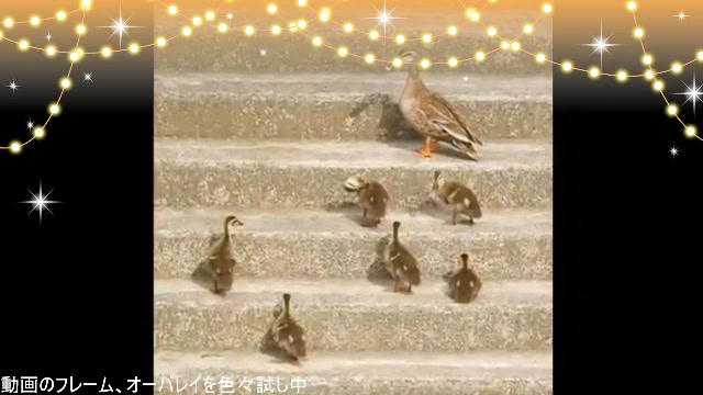 身近な生き物語【作業枠】