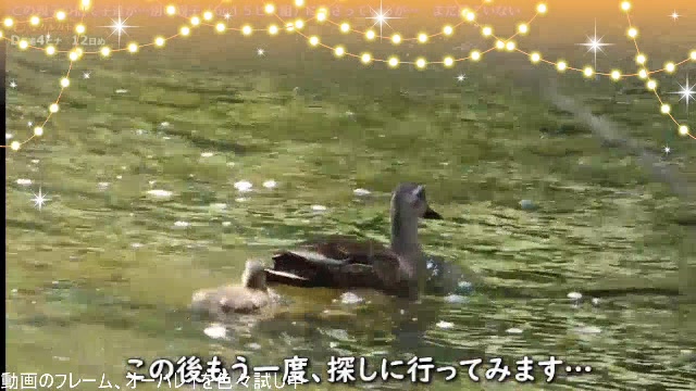 身近な生き物がたり【作業枠】