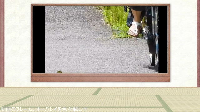 【作業枠】身近な生き物語