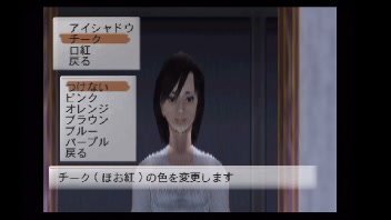 【PS2】パチパラ13 スーパー海とパチプロ風雲録 28玉