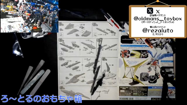 機動戦士ガンダムSEED C.E.73 STARGAZERとは (キドウセンシガンダム