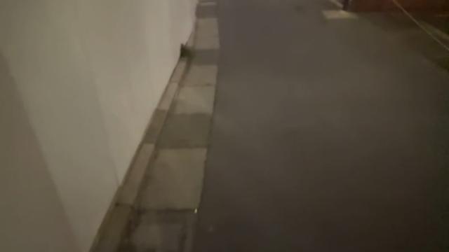 仕事側に飛ばれたまるで蝶のように