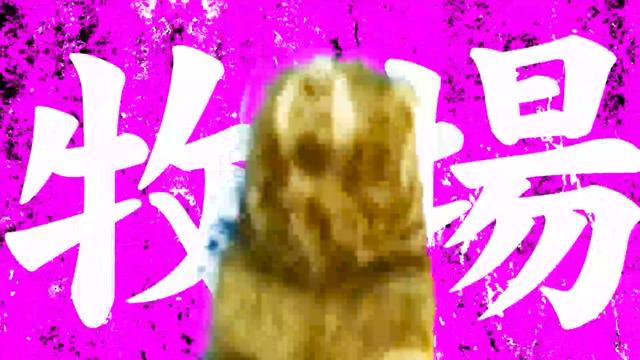 ISO感度包装紙の裏路地ラジオ(笑)
