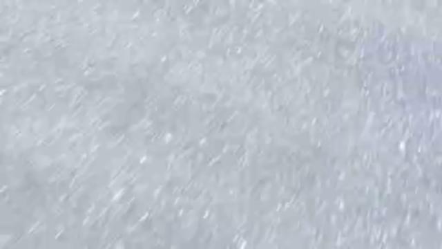 酒まだ呑