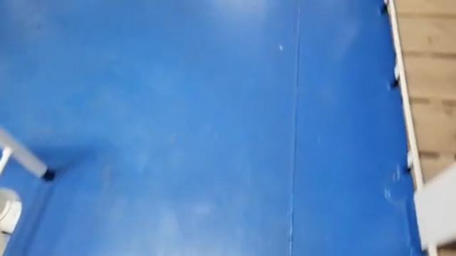 [帰島]　おはよ、散歩