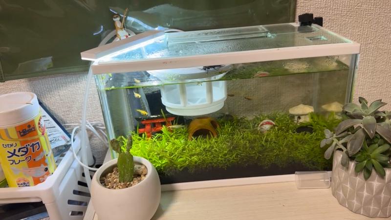 番組サムネイル