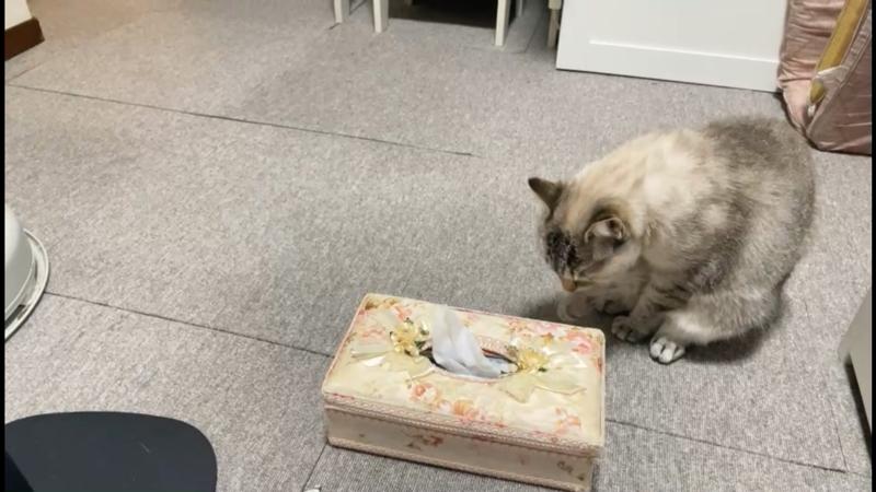 番組サムネイル