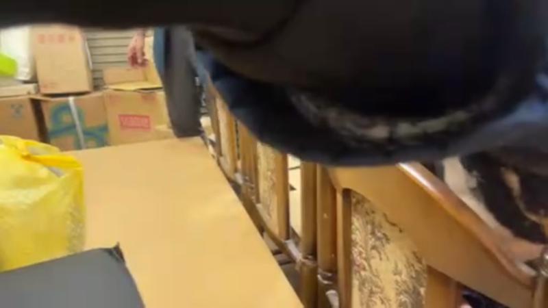 番組サムネイル