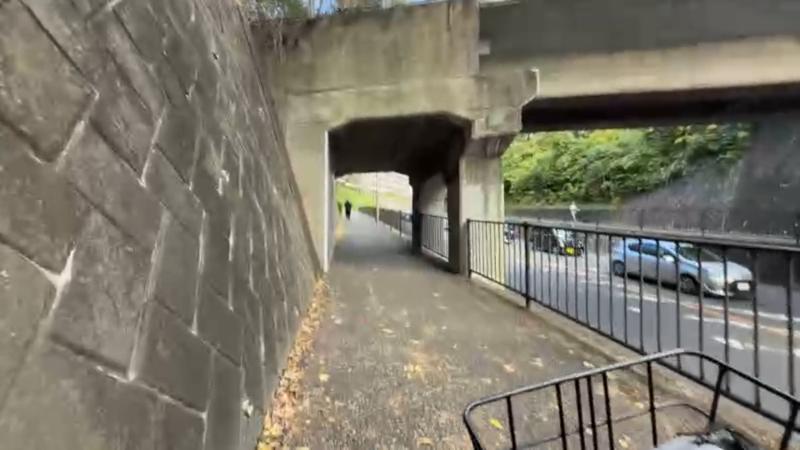 番組サムネイル