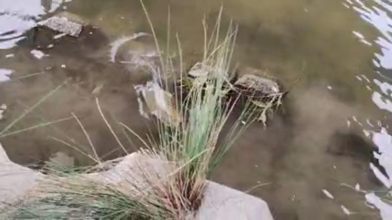 番組サムネイル