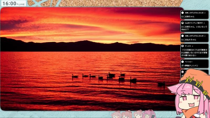 番組サムネイル