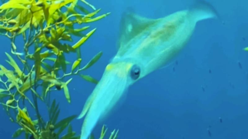 番組サムネイル