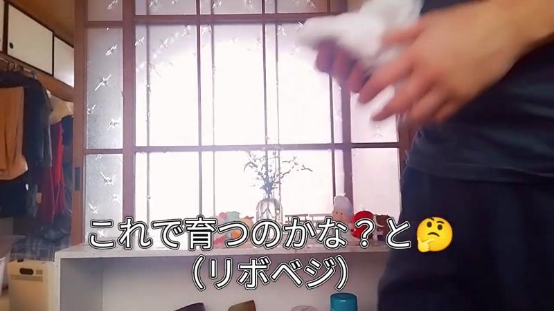 番組サムネイル