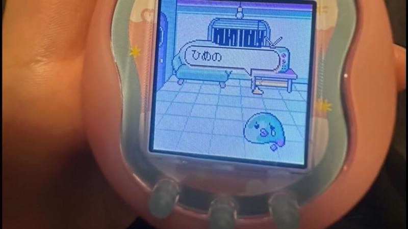 番組サムネイル