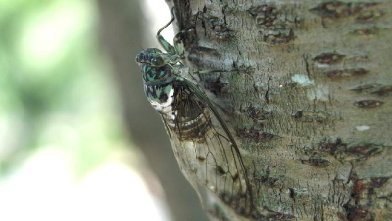 番組サムネイル