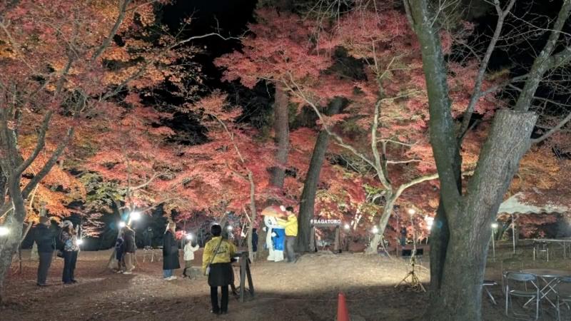 番組サムネイル