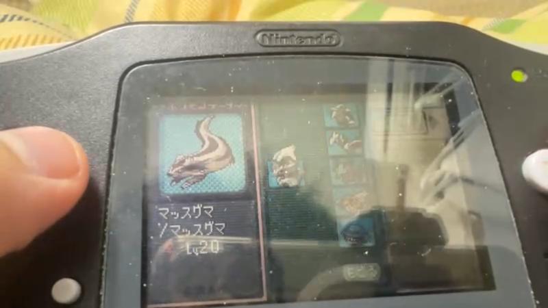 番組サムネイル