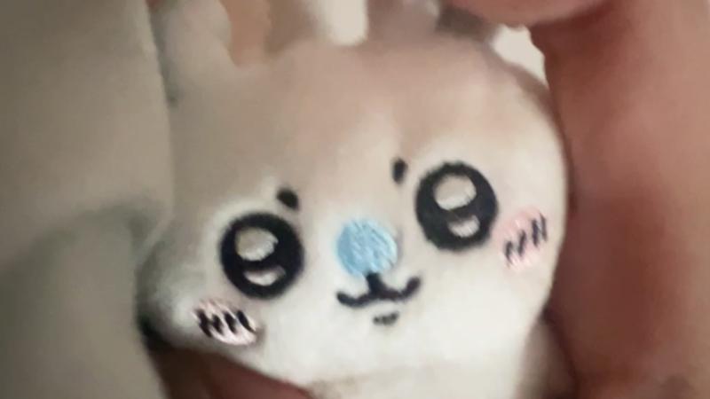 番組サムネイル