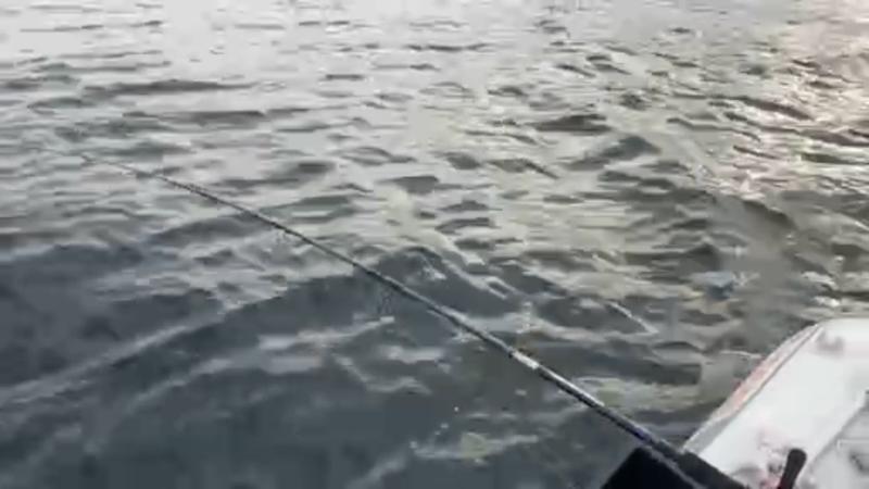 番組サムネイル