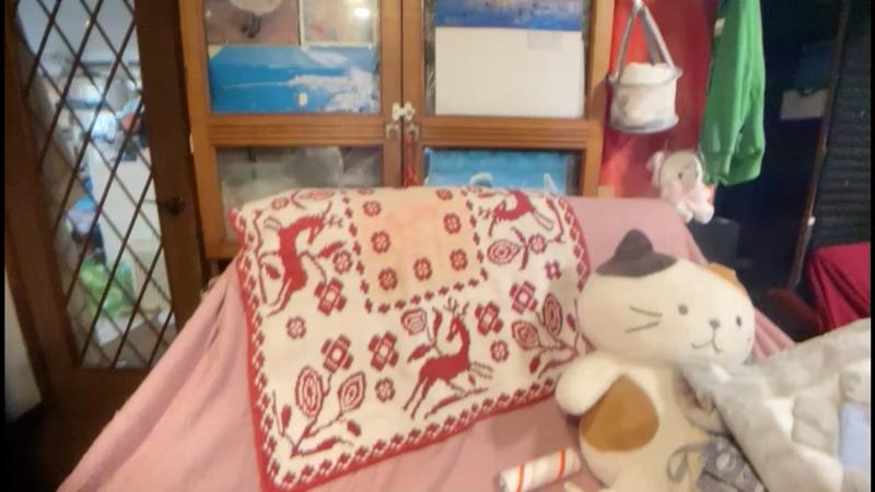 番組サムネイル