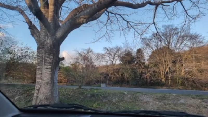 番組サムネイル