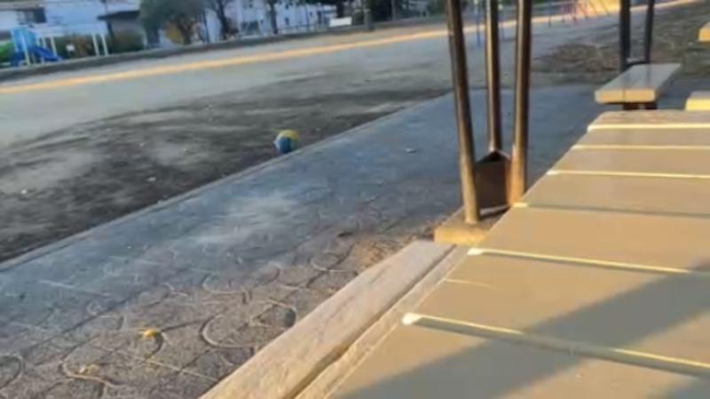 番組サムネイル