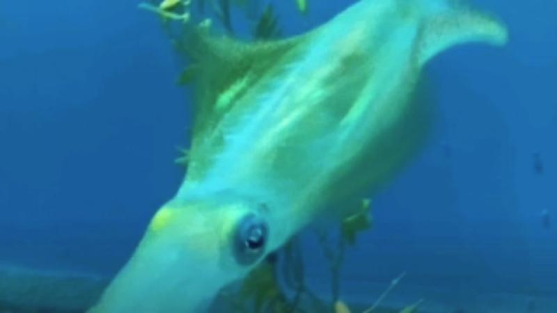 番組サムネイル