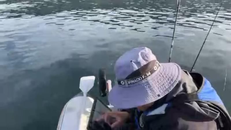 番組サムネイル