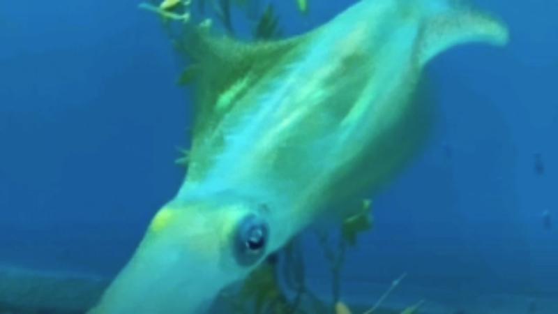 番組サムネイル