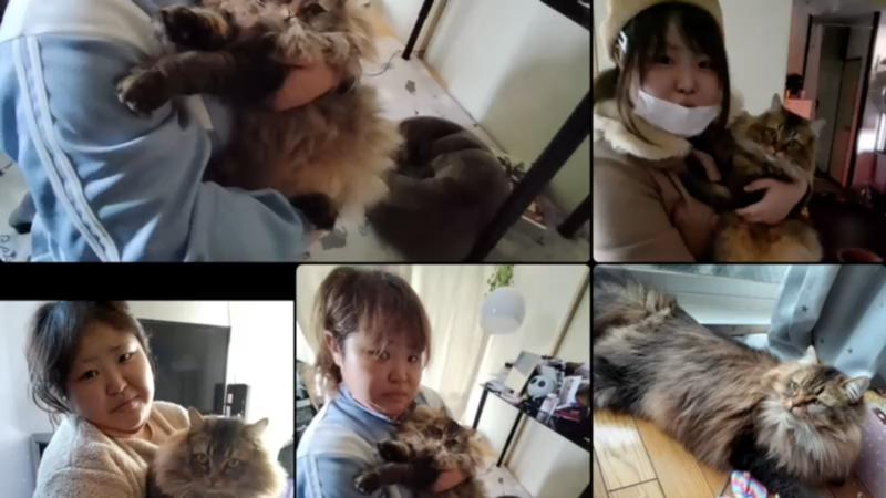 番組サムネイル