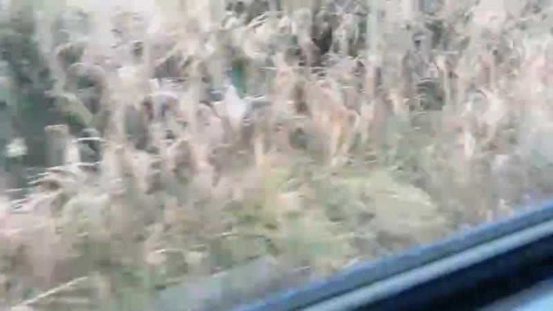 番組サムネイル