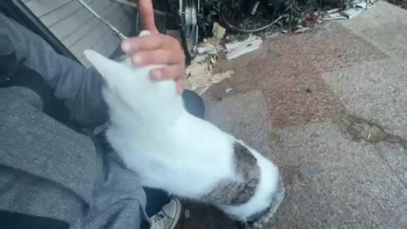 番組サムネイル