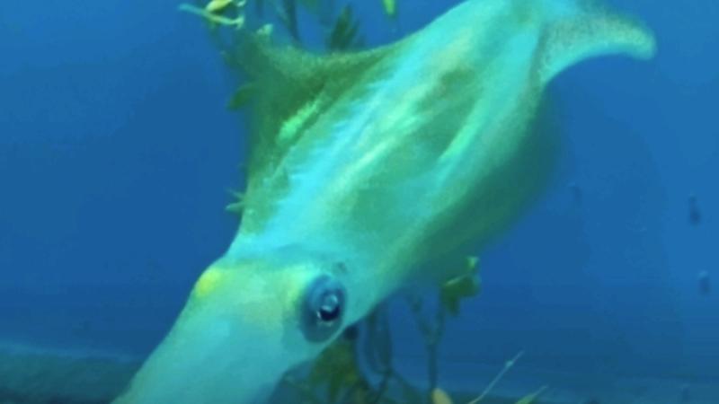 番組サムネイル