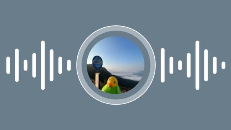 番組サムネイル