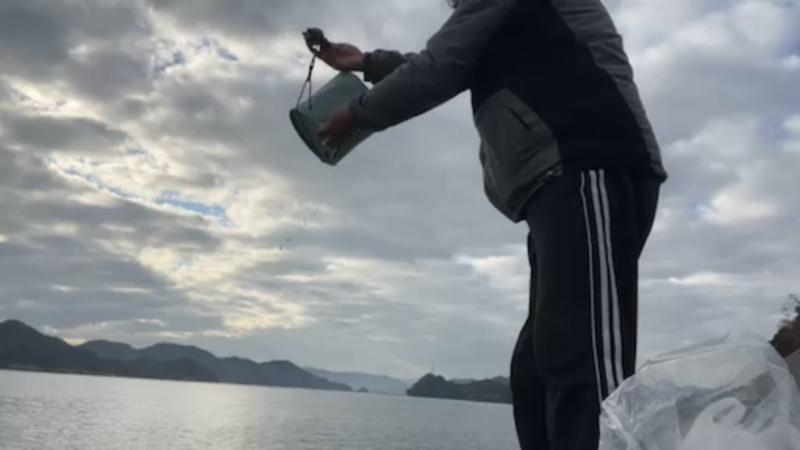 番組サムネイル