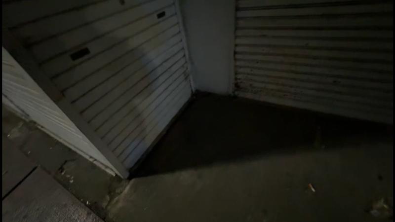 番組サムネイル