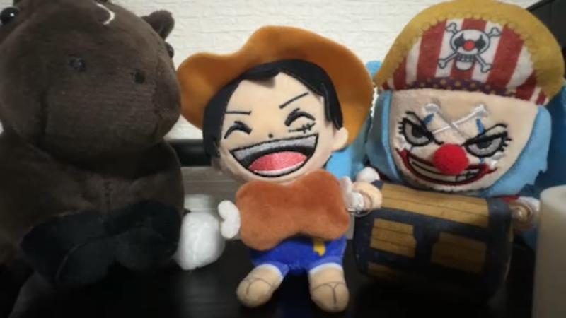 番組サムネイル