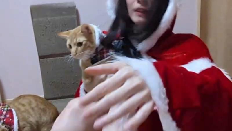 番組サムネイル