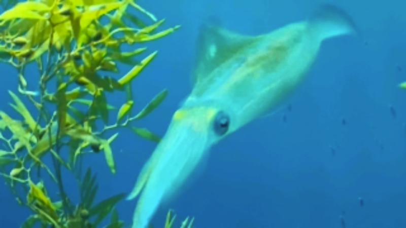 番組サムネイル