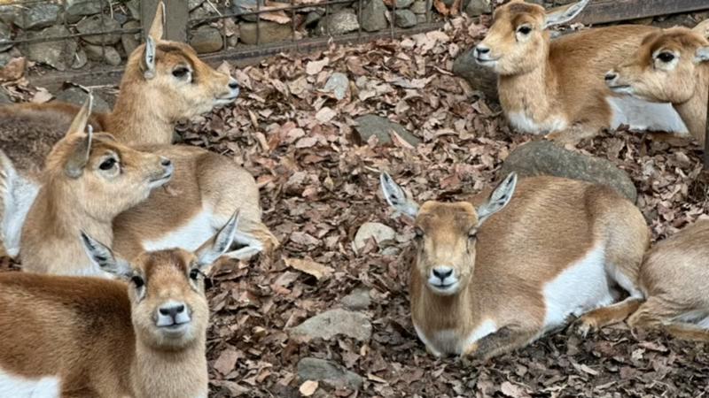 番組サムネイル