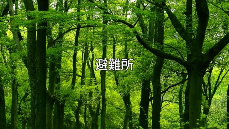 番組サムネイル