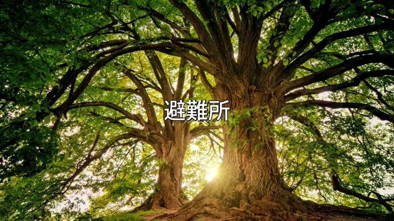 番組サムネイル